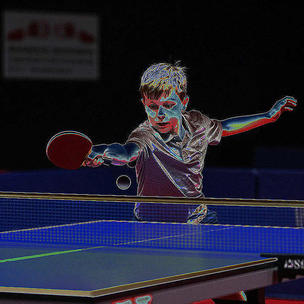 Bồ Đào Nha và hai chức vô địch U21 tại Belgium Open 2026: Ánh đèn soi rõ khoảng cách chưa lấp đầy